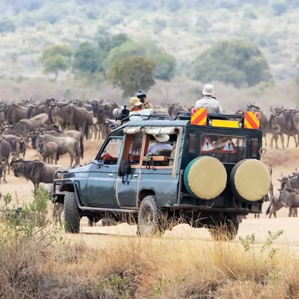 4 Days The High End Kenya Safari