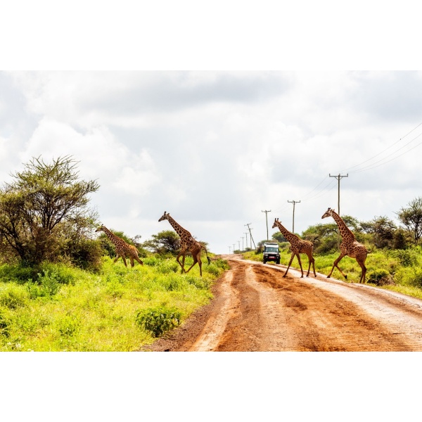 14 days Kenya,Tanzania and Zanzibar Holidays Safari