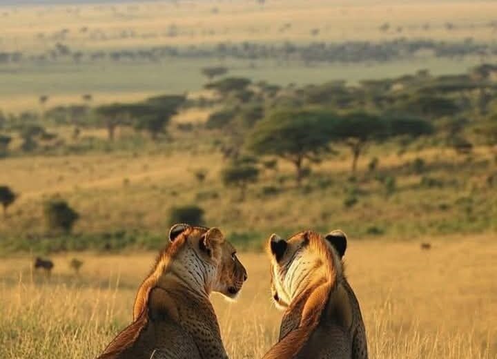 15 days Kenya,Tanzania and Zanzibar Holidays Safari