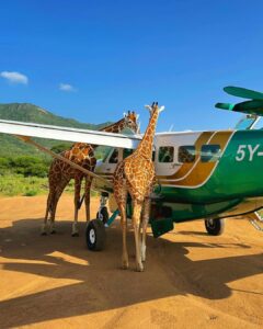 5 Days Fly in to Ishasha sector of Queen Elizabeth National Park, Bwindi NP and Mgahinga National Park